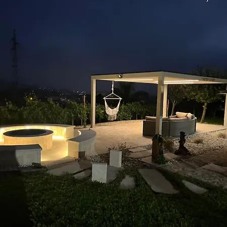 Fernandes Sunshine * 蓬德利马